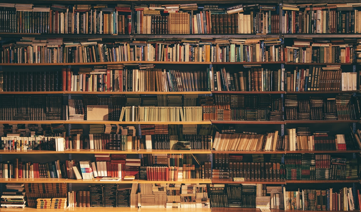 How to Style a Bookshelf That Doesn't Look Like a Library Reject