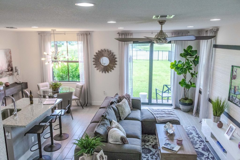 How to arrange plants in your living room (2026)