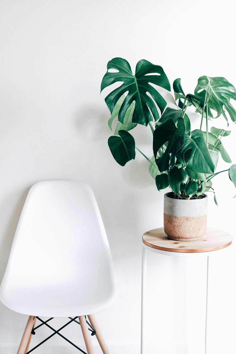 Plant room ideas for every space